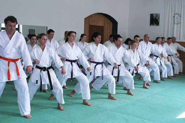 Von jung bis alt war an diesem Tag im Karatedojo alles vertreten.